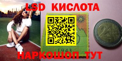 эйфоретик Малгобек