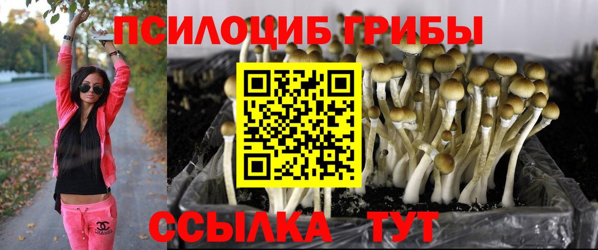 Сыктывкар  Галлюциногенные грибы Magic Shrooms  Псилоцибиновые грибы прущие грибы  Вход с VPN 